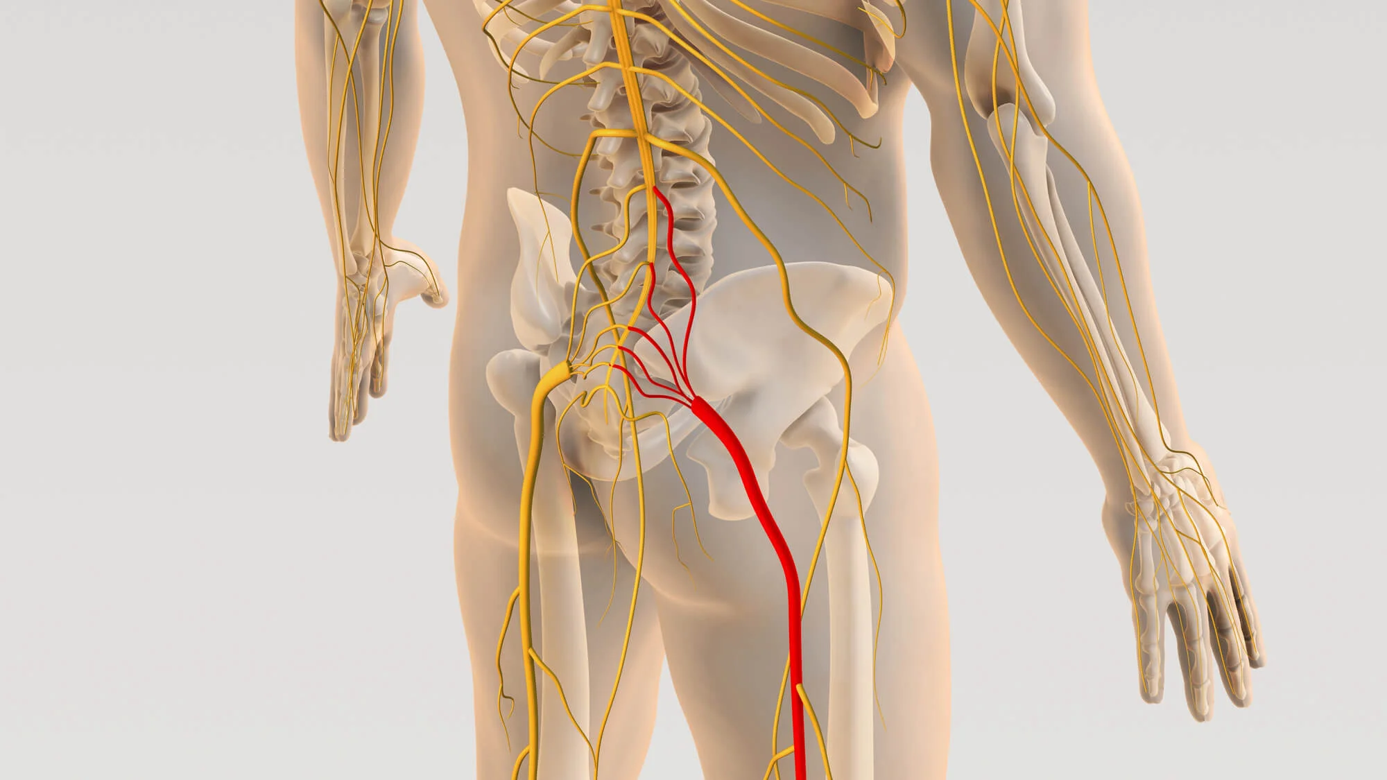 concept-of-needing-Sciatica-Treatment-Near-Me